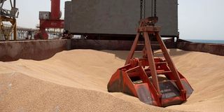 Ukrainian wheat destined for Ethiopia