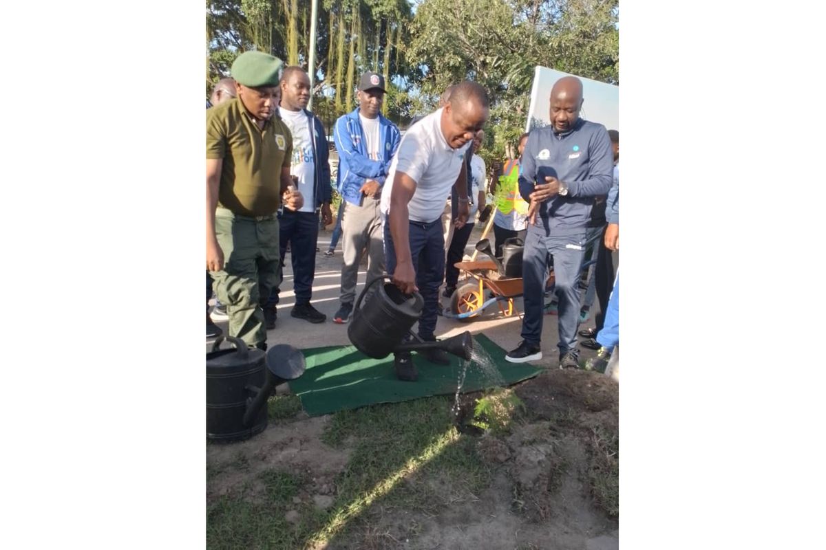 Dart plants 1,000 trees to support government initiative | The Citizen