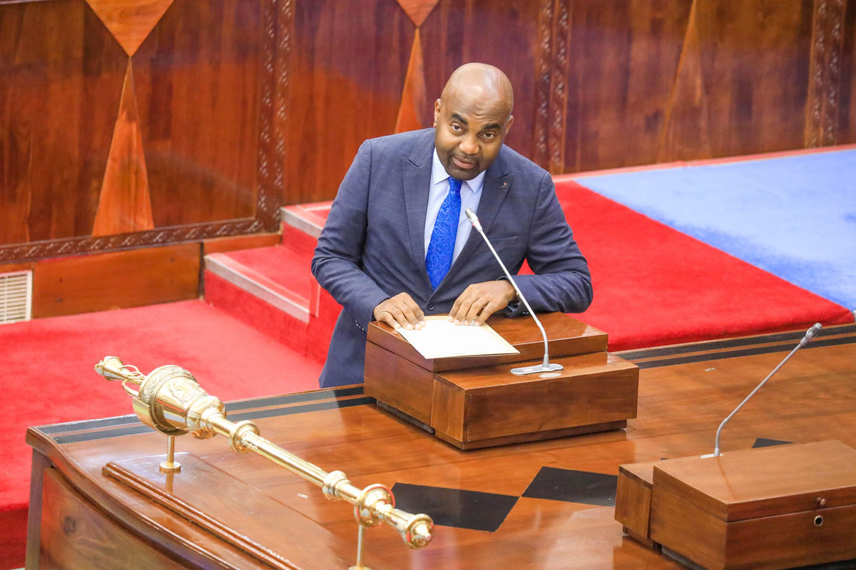 What Tanzania s Position On Dual Citizenship Means The Citizen what-tanzania-s-position-on-dual-citizenship-means-the-citizen