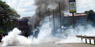 Kericho tea farm chaos