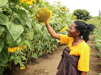 How to increase domestic cooking oil production