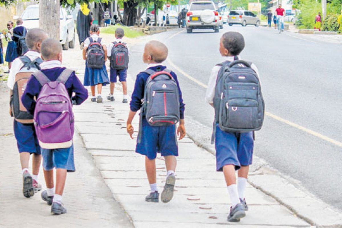 How heavy school bags threaten children’s health and wellbeing The Citizen