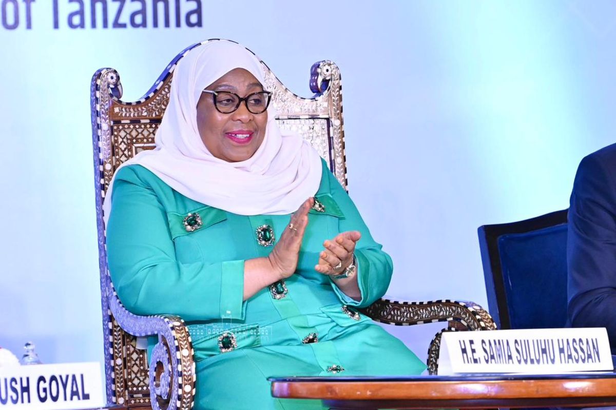 Tanzania targets $15 Billion annual FDI by 2025, says President Samia ...