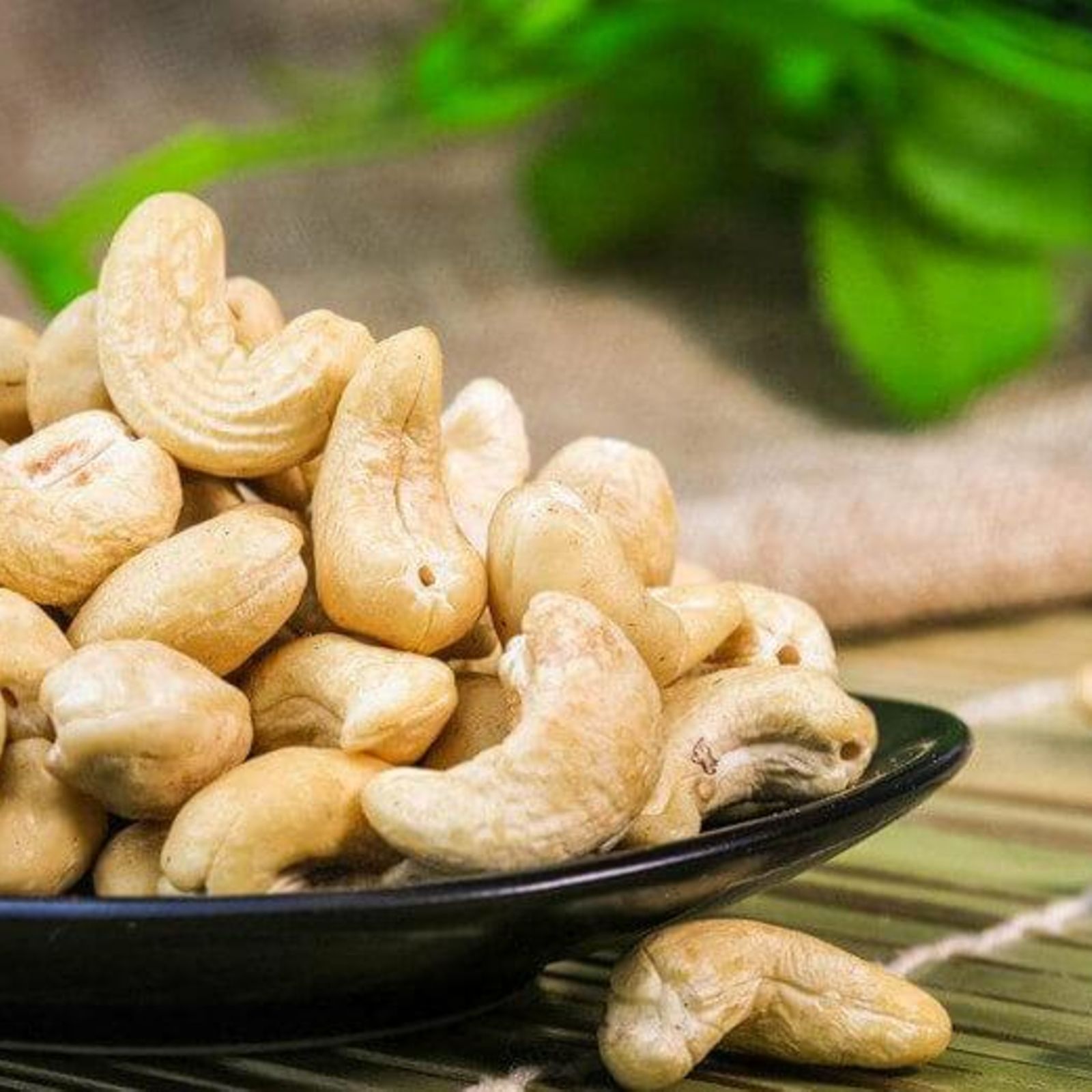 High expectations as cashew season opens The Citizen