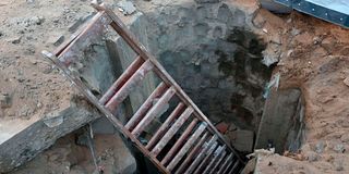 ladder