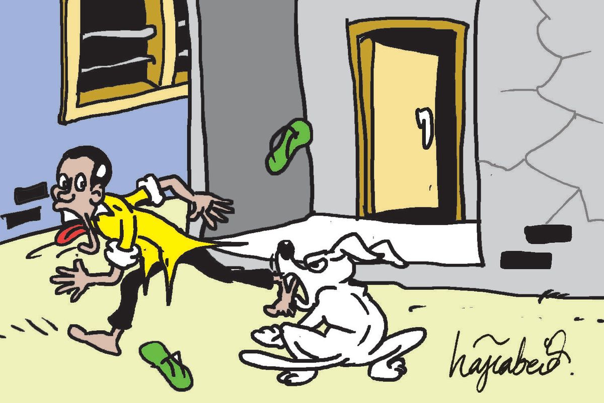 The day, when Cujo brewed hell for me, his owner | The Citizen