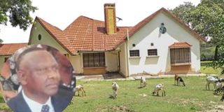William Mutilangi
