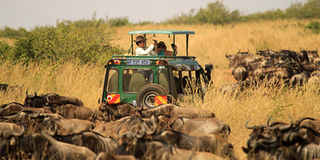 tourism trend in tanzania