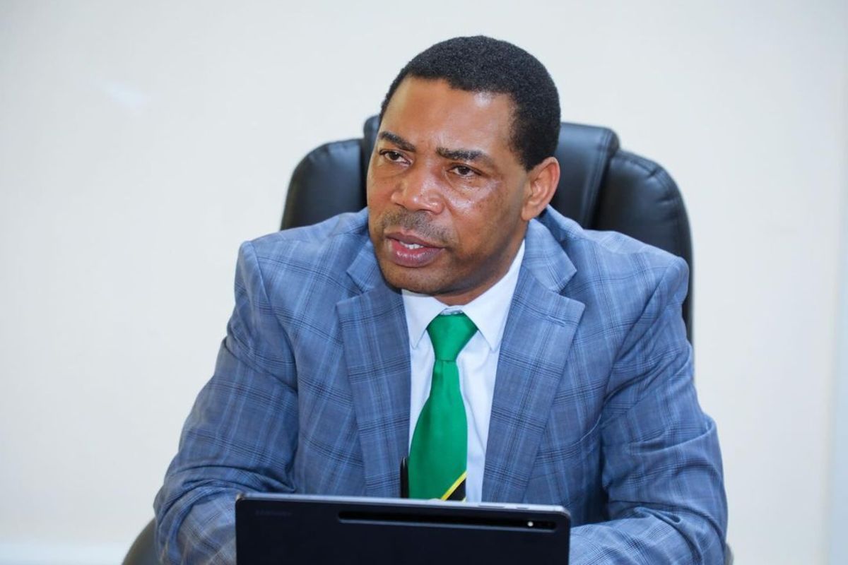 Tanzania borrows money because it has ability to pay, says Finance