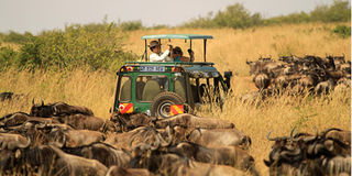 tourism agents in tanzania