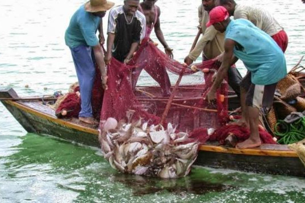 Why unsustainable fishing imperils blue economy advantages on Mafia Island