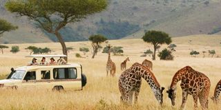 tanzania tourism marketing