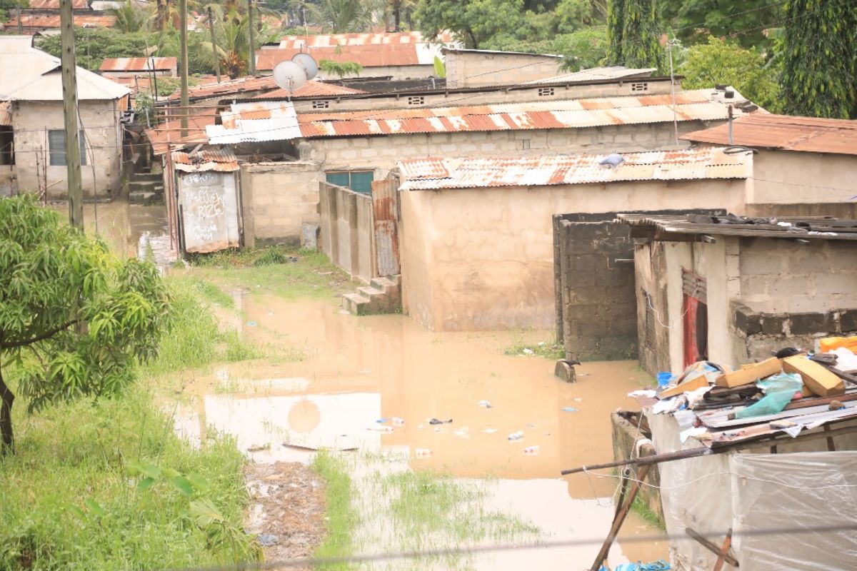 155 people die in Tanzania as