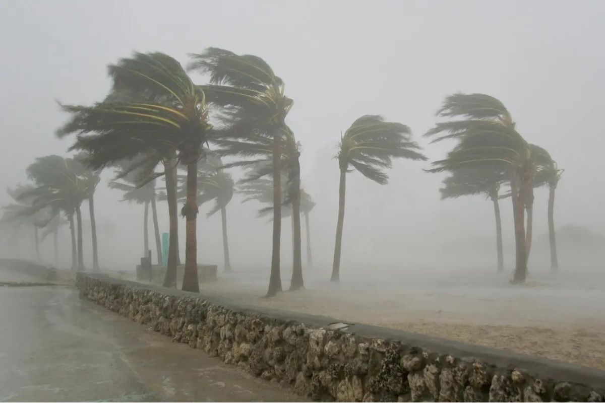 
The weatherman said in a statement released last night that the Tropical Cyclone named Hidaya is no longer a threat to the East African country was recently heat by floods have claimed 155 lives...