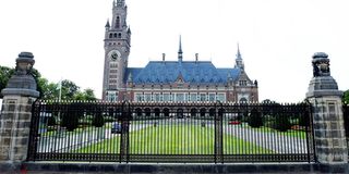 Hague-pic