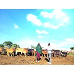 CLIMATE PIC
