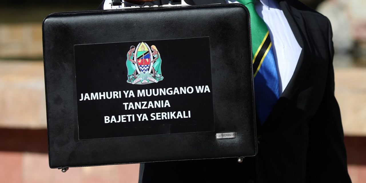 How 2024/25 Budget can have the desired impact The Citizen