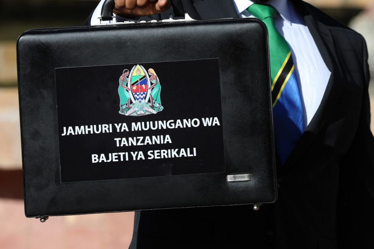 Experts urge reduced reliance on foreign aid | The Citizen