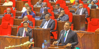 Mwigulu pic