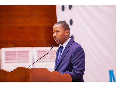 Tanzania Investment Centre targets Sh9.1 trillion in domestic investments