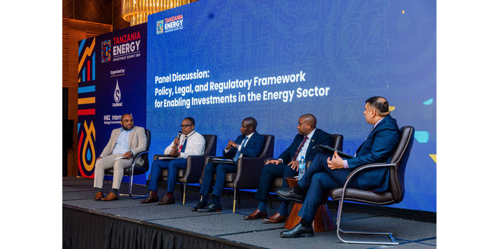 Tanzania showcases sustainable energy potential | The Citizen