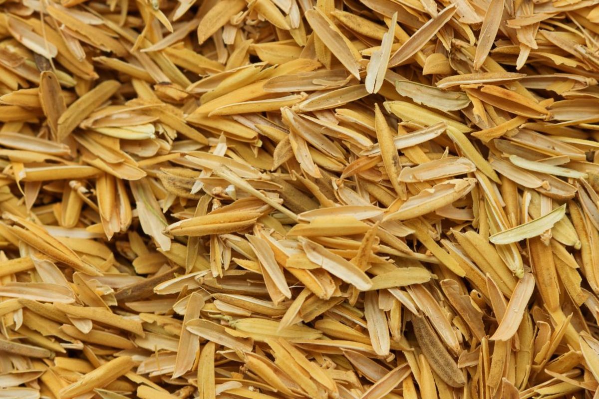 Three regions to benefit from Sh2.6 billion rice husk charcoal project ...
