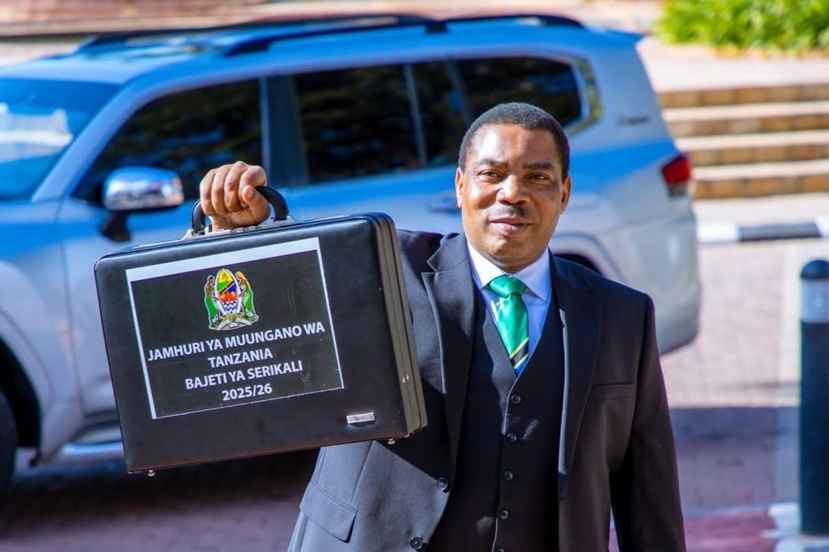 What Tanzanians should expect as new financial year begins