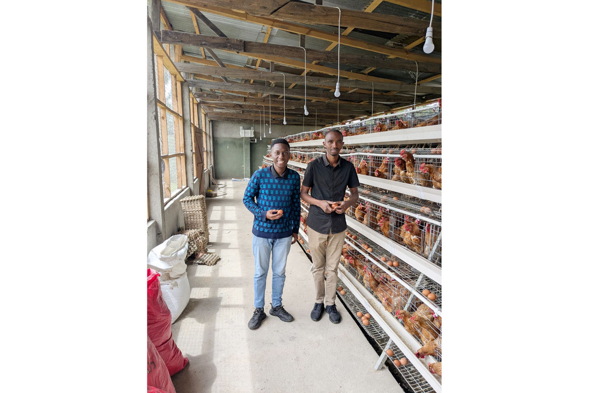 How a young Tanzanian farmer built promising poultry tech startup