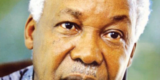 nyerere-800x723