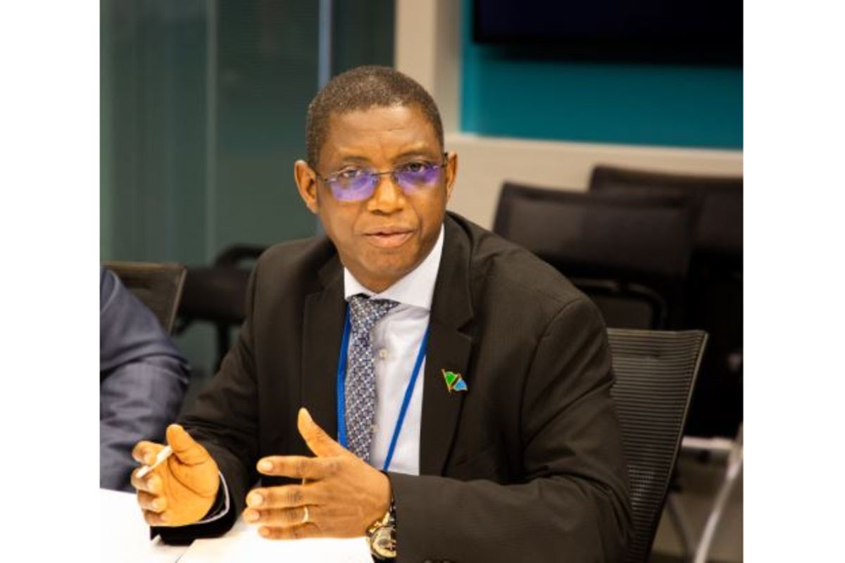 Tanzania's central bank launches initiative to strengthen microfinance sector