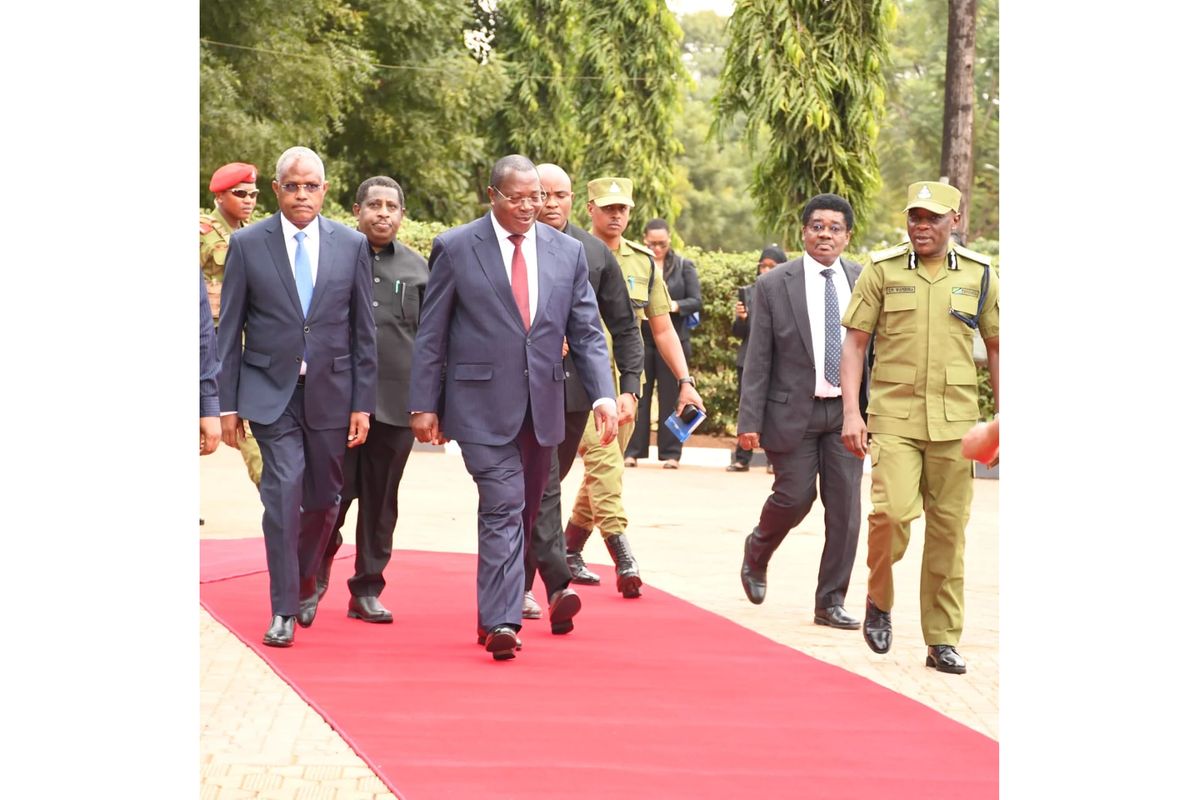 Tanzania VP orders police cyber patrol ahead of General Election