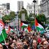 Palestinian flags