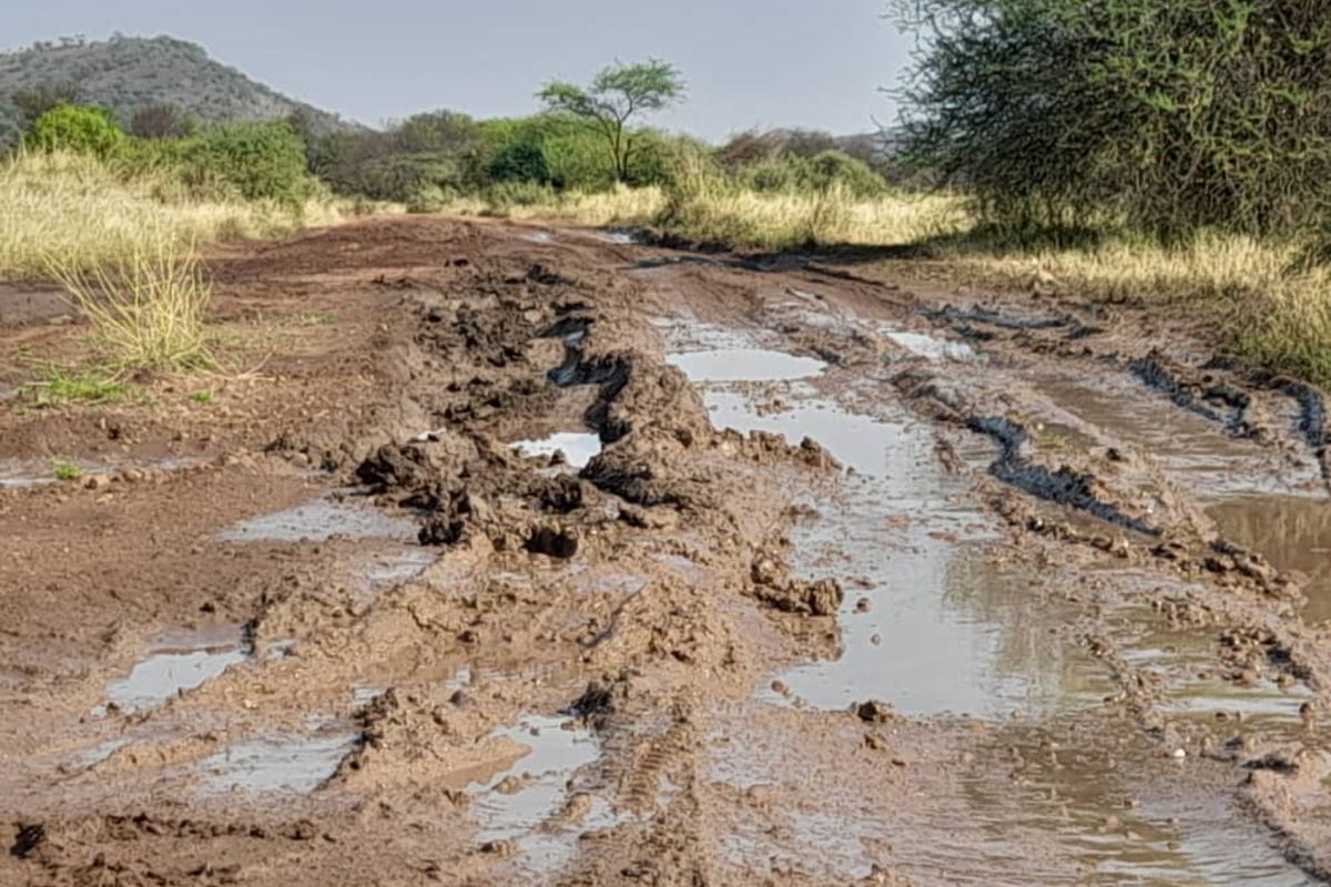 Heavy rains damage Serengeti roads, disrupt tourism activities