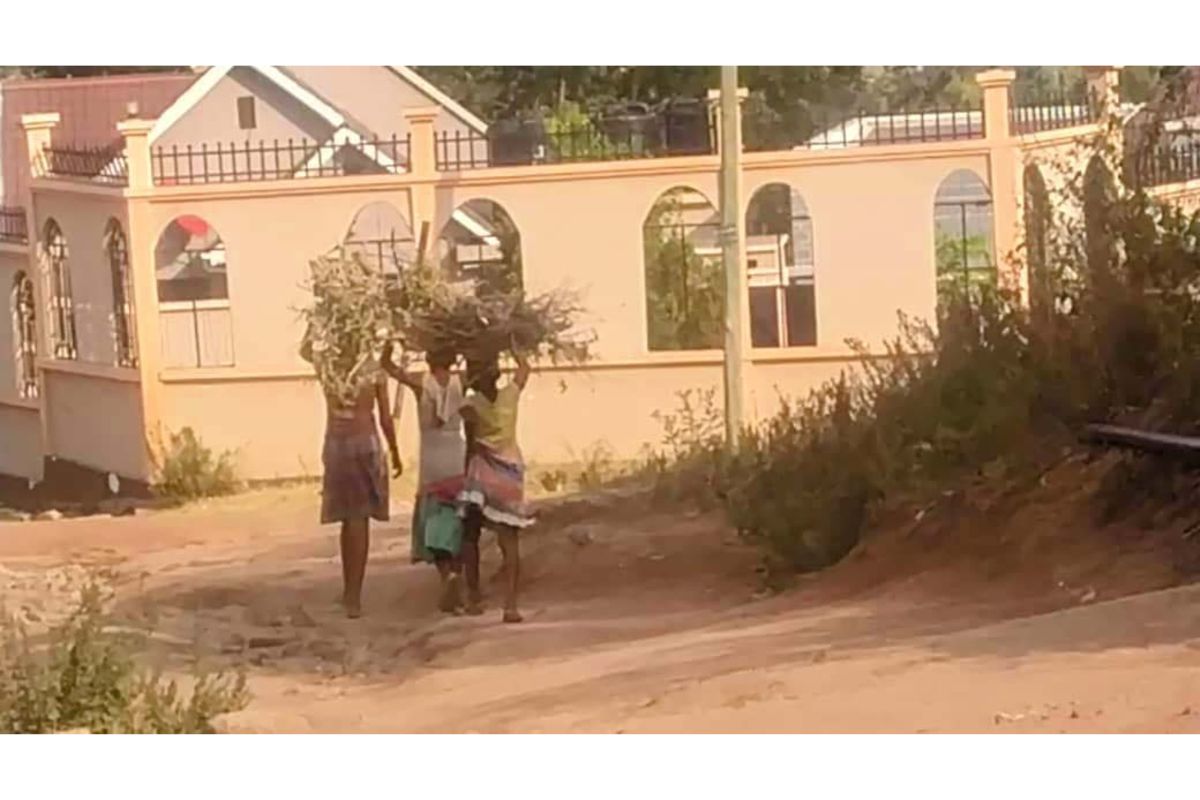 Mwanza: How firewood use and climate change drive school absenteeism