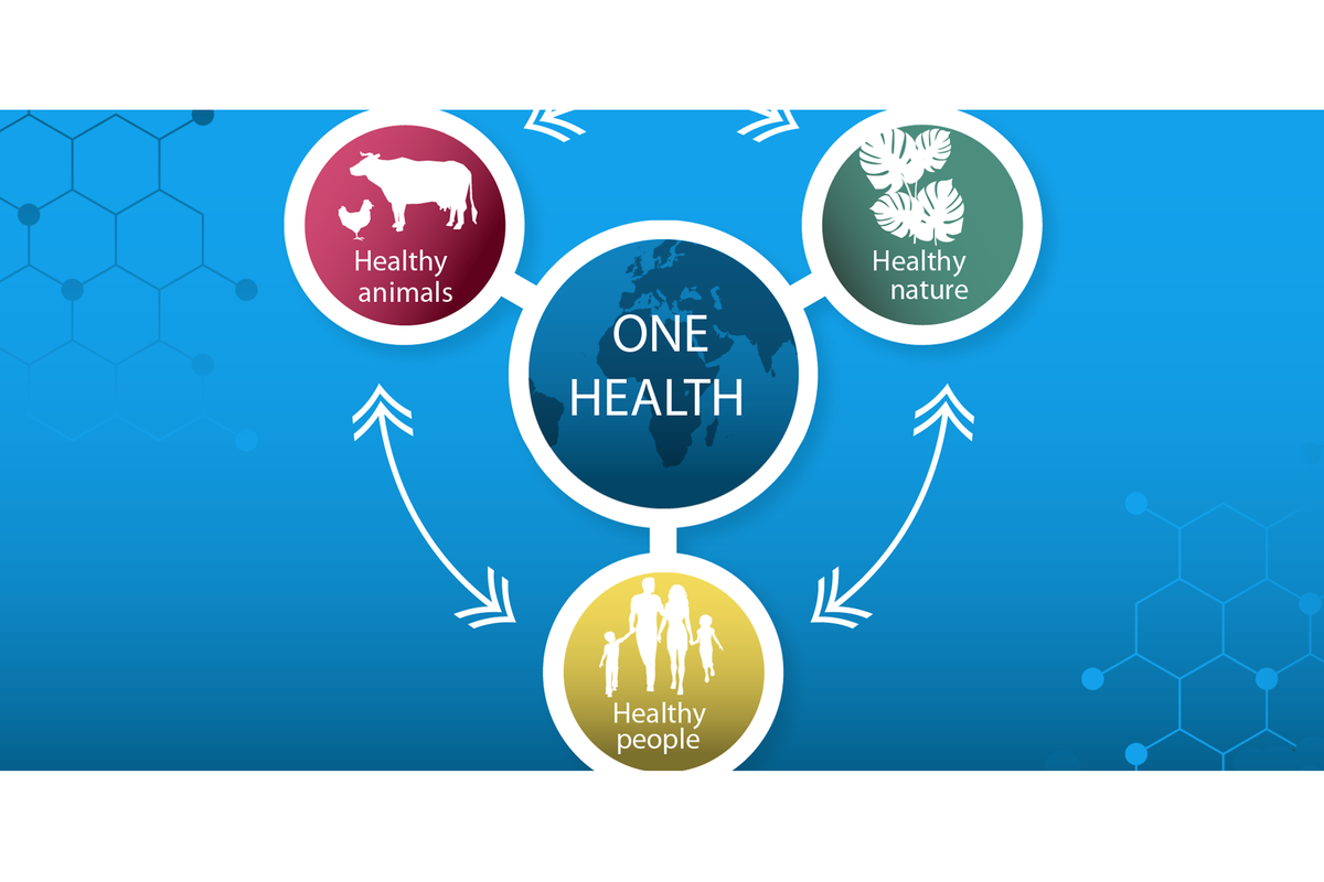 Experts call for urgent adoption of ‘One Health’ to tackle challenges
