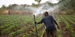 Irrigation pic