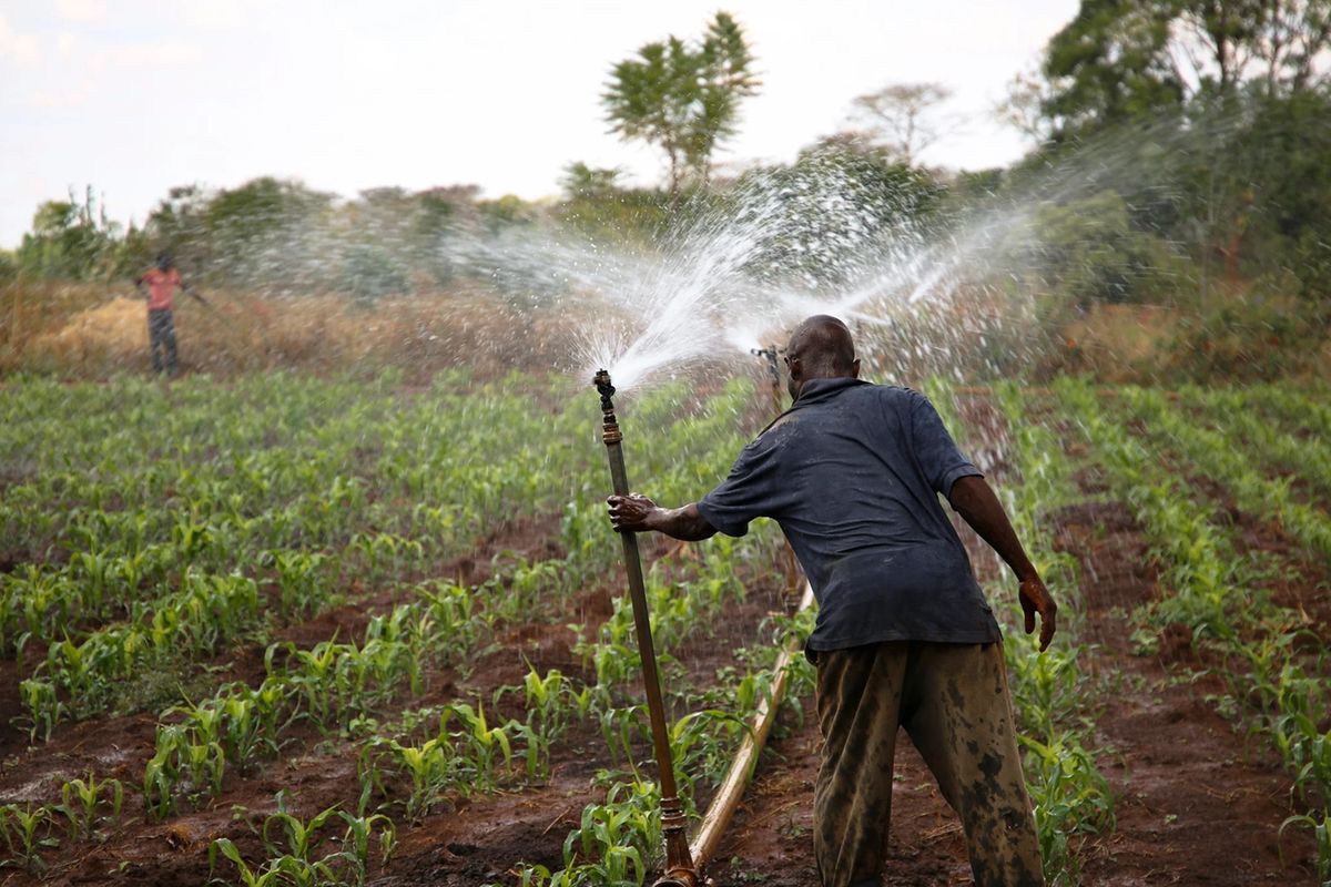 Why and how Tanzania can lead Africa’s irrigation drive