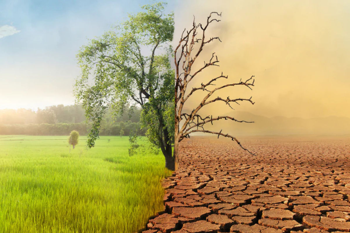 CRDB Bank unveils fund to combat climate change