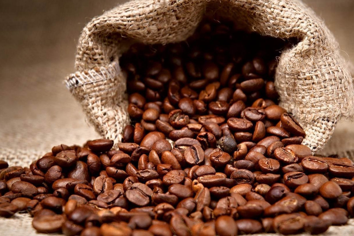 Innovation, productivity key to brewing Tanzania’s coffee success