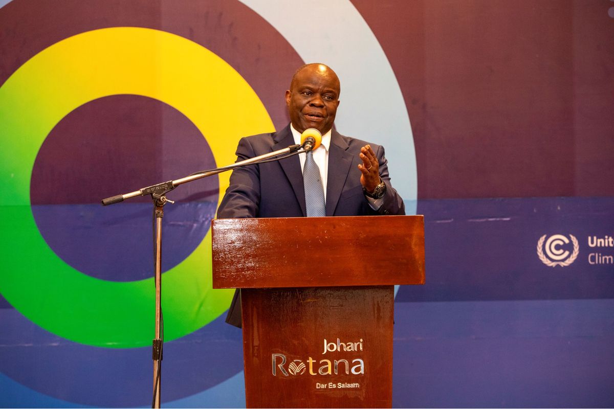 Tanzania to lead Africa’s push for health‑centric climate action at COP 30