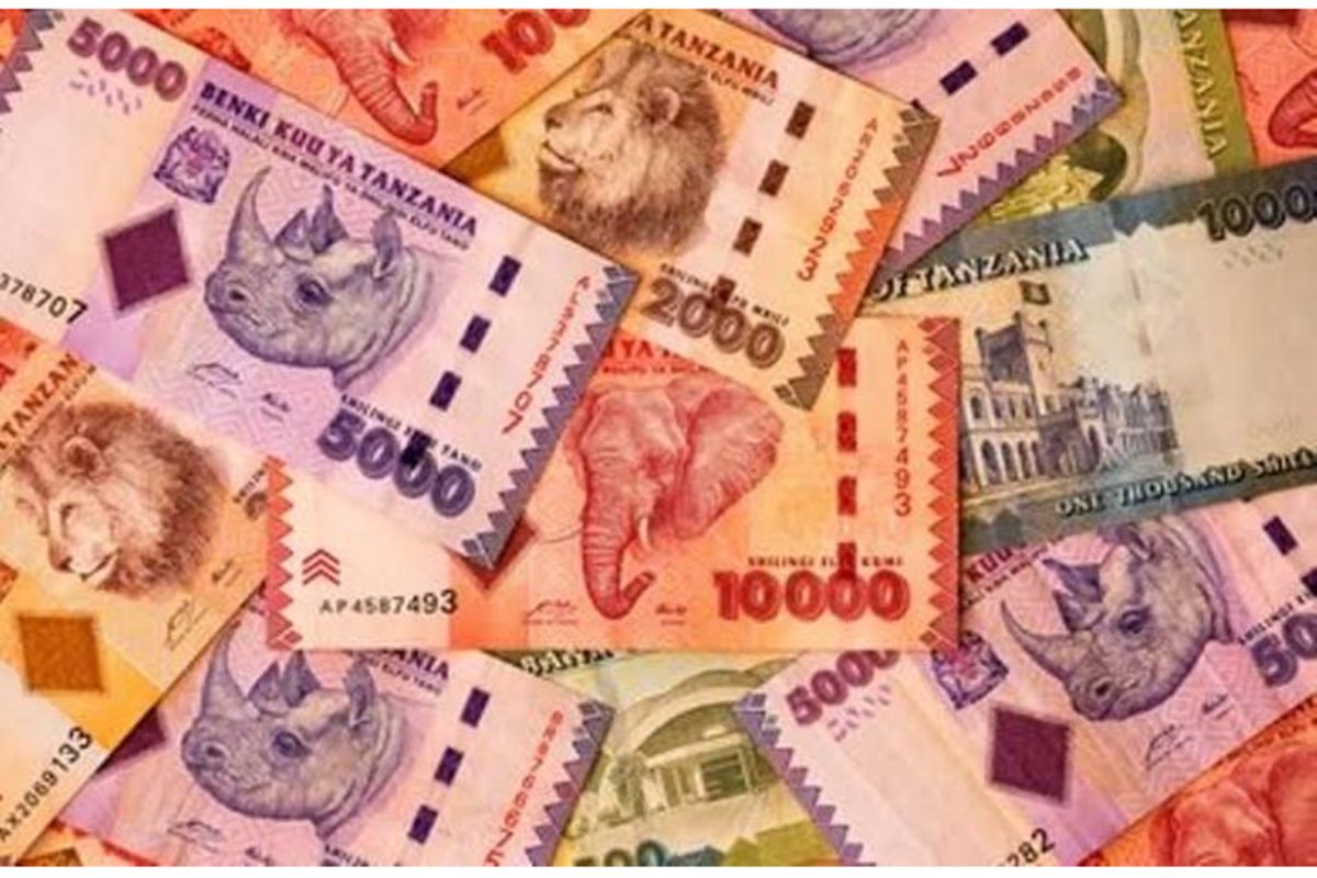 Why Tanzanian shilling is among East Africa’s best-performing currencies