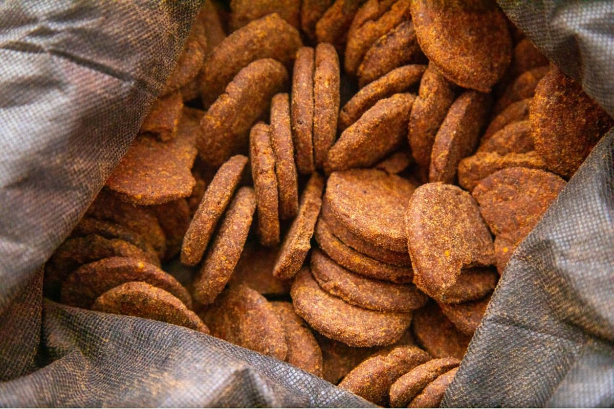 Four Tanzanian students arrested over cannabis biscuits at house party