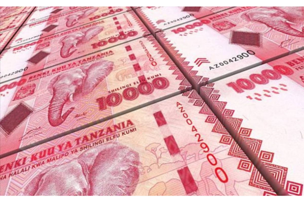 New platforms seek to boost access to finance for Tanzanian businesses