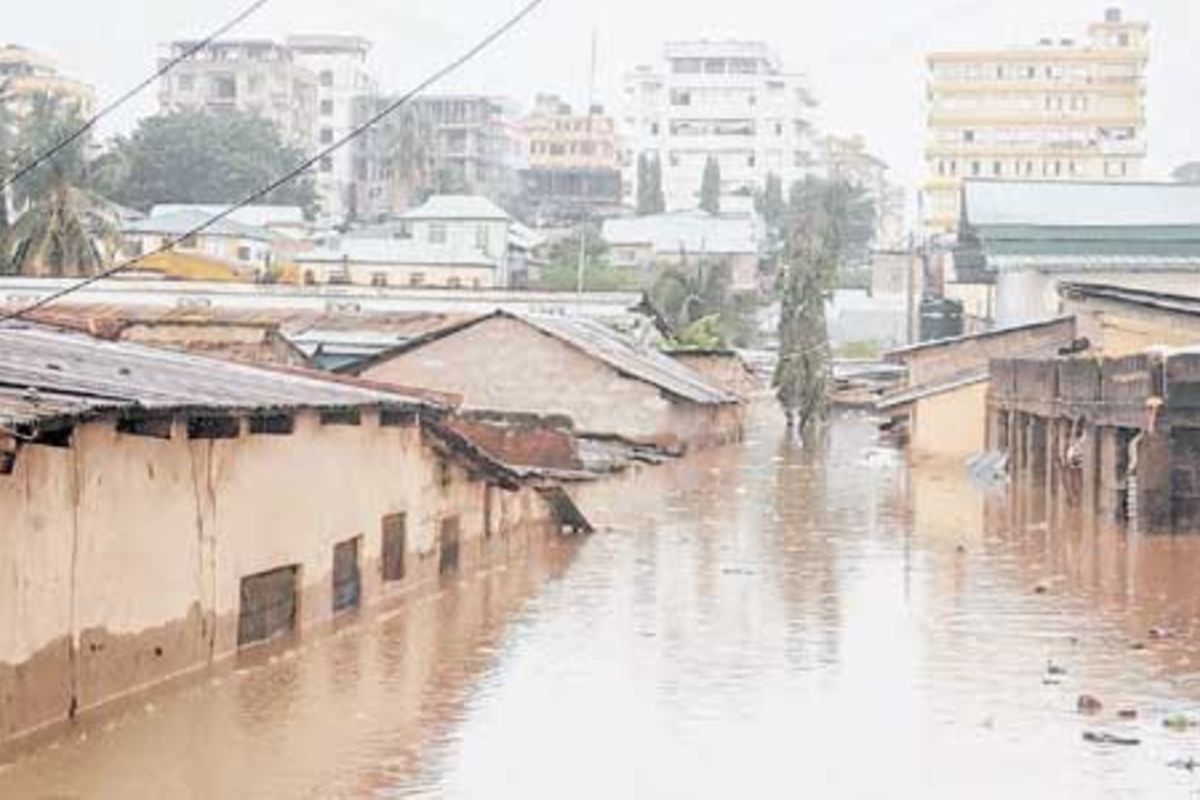 Tanzania sets firm priorities on loss and damage ahead of COP30