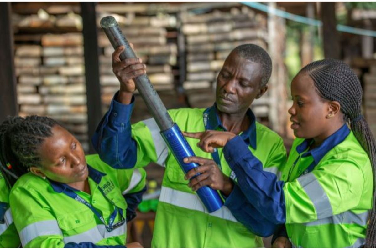 Tirdo, Stamico join forces to boost research and value addition in Tanzania’s strategic minerals sector