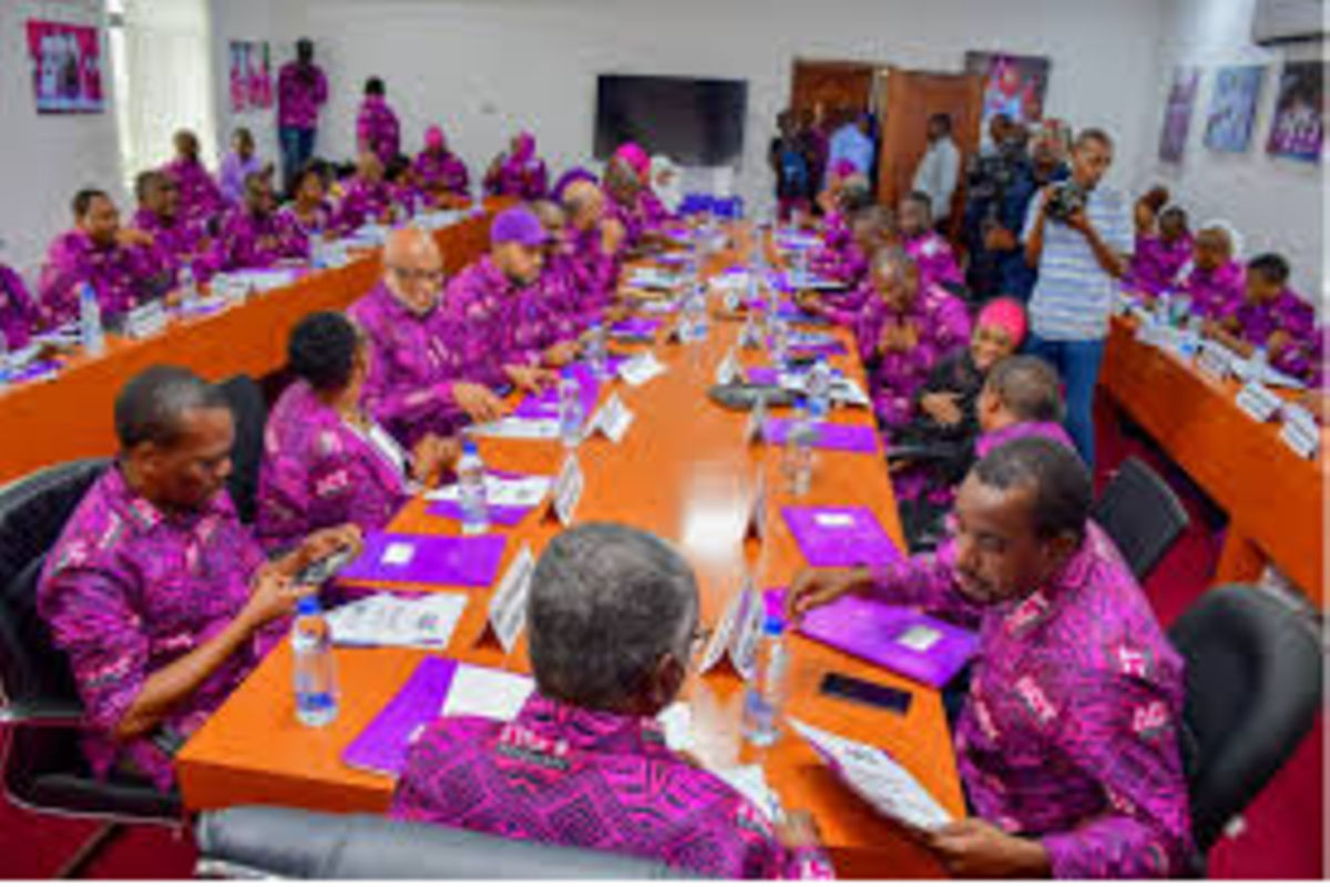 Tanzania's opposition party, ACT, files 25 petitions to challenge Zanzibar poll results