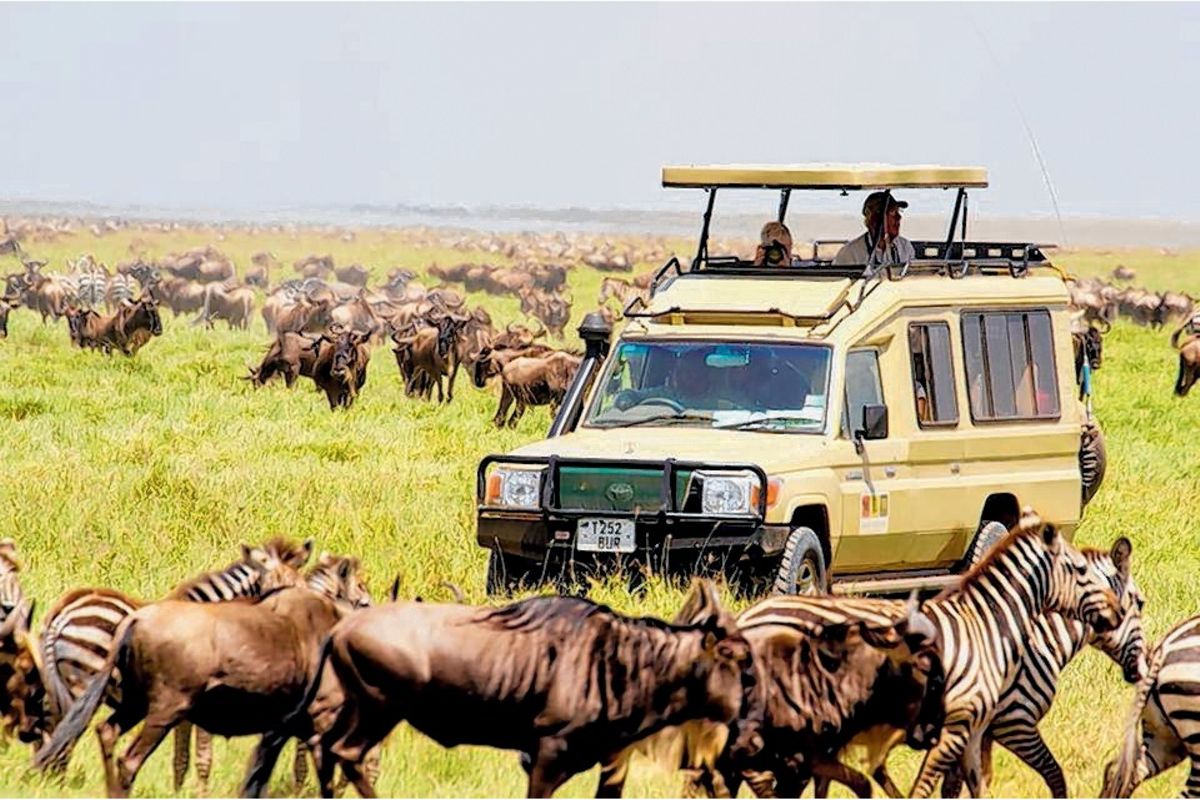 Tanzania’s tourism industry defies election protests as visitor numbers surge