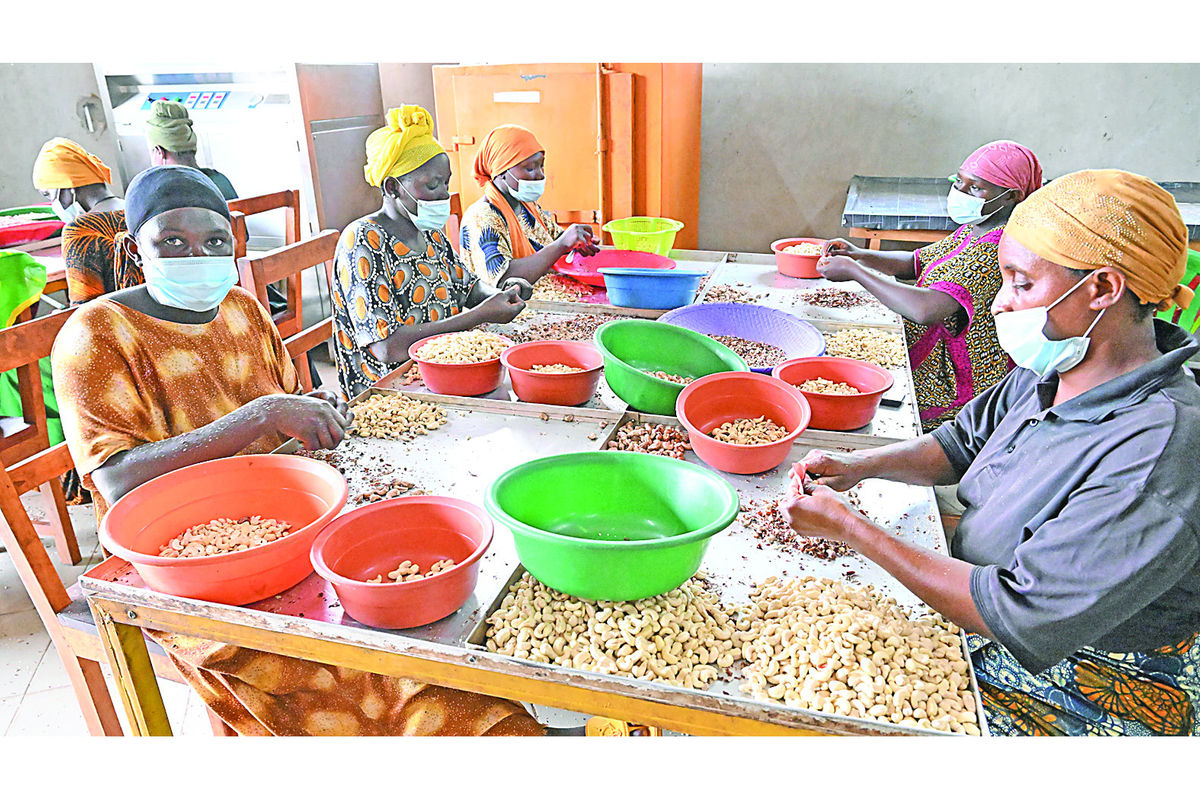 Tanzania moves to establish national industrial database