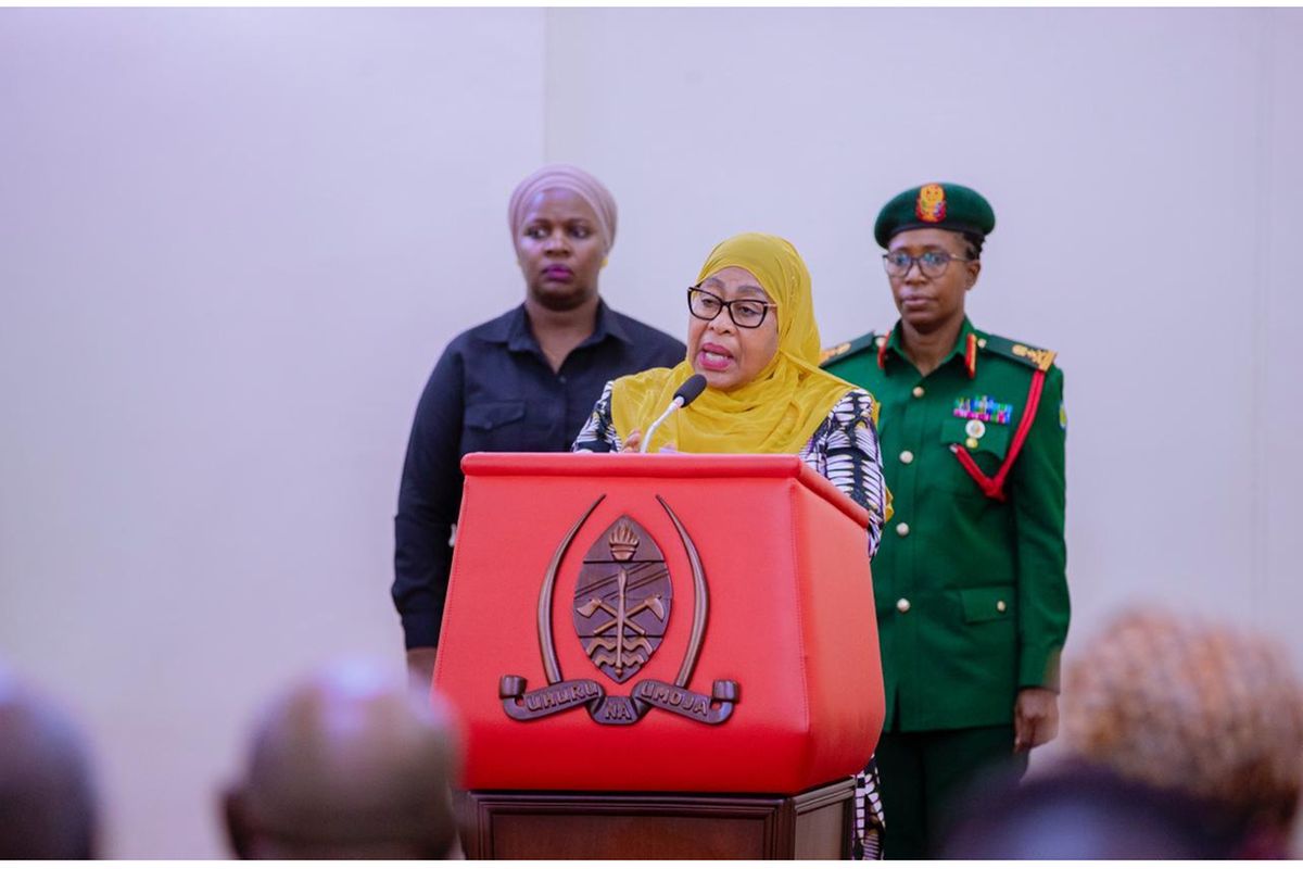 
President Samia Suluhu Hassan has set out a series of fundamental questions that the newly inaugurated Commission of Inquiry must answer as it begins investigating the October 29 unrest