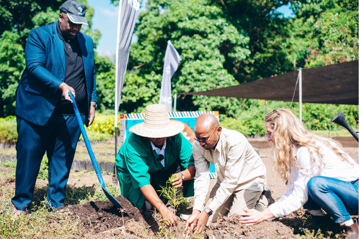 Government touts collaboration in environmental restoration